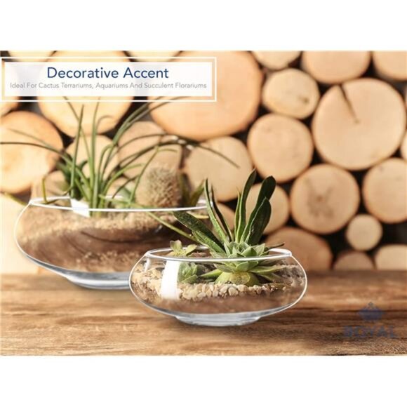 Royal Imports Round Glass Vase Set of 2 – Clear Decorative Glass Bowls - Picture 7 of 8